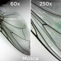 Atlantis EduScope MS725 microscop digital USB, rezolutie UXGA 1600 x 1200 pixeli, focalizare dubla 60x si 250x
