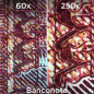 Atlantis EduScope MS725 microscop digital USB, rezolutie UXGA 1600 x 1200 pixeli, focalizare dubla 60x si 250x