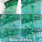 Atlantis EduScope MS737 microscop digital USB cu 6 obiective, rezolutie UXGA 1600 x 1200 pixeli, focalizare 100x pana la 600x Atlantis EduScope MS737 microscop digital USB cu 6 obiective, rezolutie UXGA 1600 x 1200 pixeli, focalizare 100x pana la 600x
