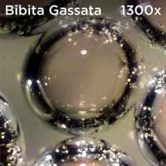 Atlantis EduScope MS729 microscop digital ocular, UXGA 1600 x 1200 pixeli, focalizare pana la 1300x digital si 800x optic
