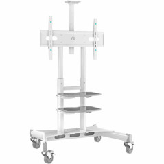 ONKRON TS1881-W Mobile TV stand for TVs 50"-86", max 90kg, white