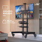 ONKRON TS1881-B stand mobil premium pentru TV-uri si display-uri cu diagonala 50"-86", max 90Kg, negru