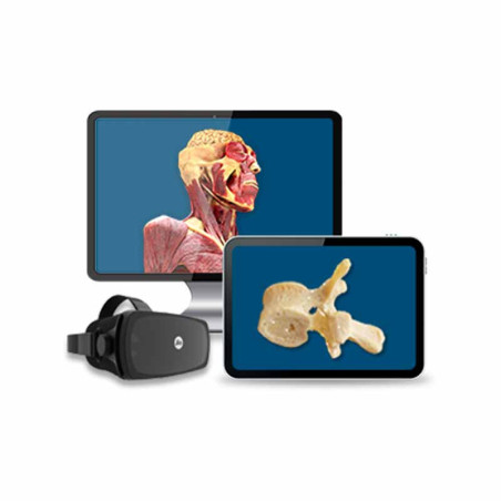 Mozaik cadaVR PERSONAL license for student to use the digital anatomical atlas on multiple devices.